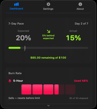 Dashboard pace and burn rate